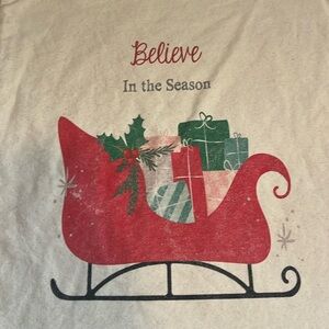Statement Canvas Pillow Cover, Believe In the Season